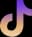 TikTok Logo